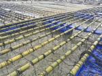 Dock Pontoon Floating Fish Cage Harvesting Machinery Type For Fishing Auxiliary