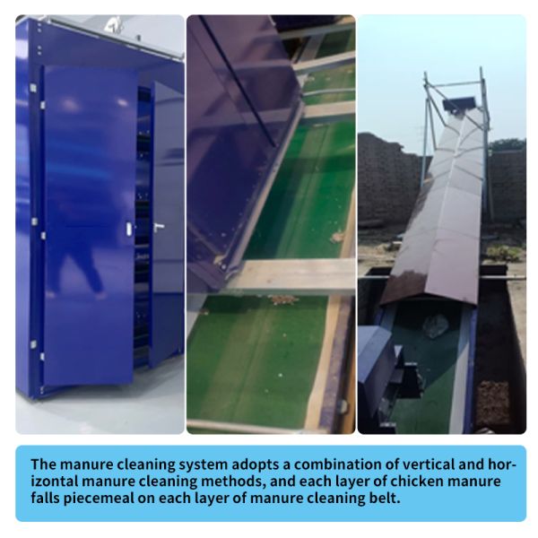 H Type 20000 Capacity Battery Layer Egg Chicken Cage with Automatic Cleaning Belt and Egg Collection System and Feeding System