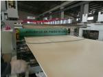 Recycle Material WPC Pvc Sheet Extrusion Line Celuka / Crust Foamed Board