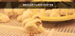 220v Electricity Hen Farm House Broiler Poultry Equipment