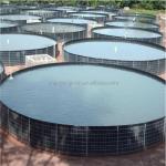 Outdoor 0.5mm Fish Farm Pond Liner 0.7mm Waterproof Geomembranas Hdpe Liner 1mm