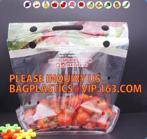China cherry tomato bags / laminated dry fruit packaging bag, Fruit Vegetable Packaging Bag, fruit protection bag with vent ho wholesale