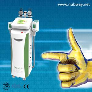 China Super fast amazing result desktop cryolipolysis to lose weight wholesale