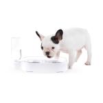 Professional Automatic Isolated Strake Spill Proof Dog Bowl 2 bowl dog feeder
