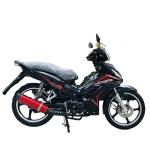 LIFAN Street legal bike 110cc cub motorcycles moped gasoline cub 4 stroke