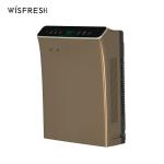 Ozone Personal Hepa Filter Air Purifier