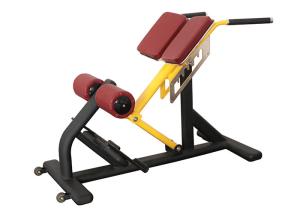 China Pro Commercial Gym Rack And Fitness Equipment Roman Ab Exercise Chair wholesale