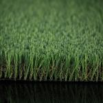Four Green Colours Plastic Lawn Grass / Plastic Green Grass Mat ISO9001