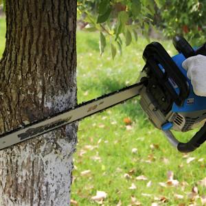 China China Factory Supply 54cc Petrol Chainsaw Wood Cutting Gasoline Chainsaw wholesale