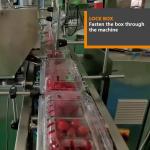 Industrial Small Fruit Packaging Machinery Automatic Bottle Sensoning Pellet