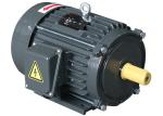 AEEF IEC IP54 7.5HP 5.5kw Three Phase Asynchronous Motor