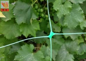 China Polyethylene Agricultural Climbing Plant Support Mesh Green Color Lightweight wholesale