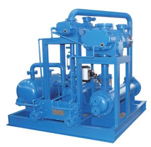 China 600 L/S Liquid Ring Vacuum Pump Equipment Stable Performance Easy Maintenance wholesale