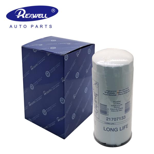 Auto Spare Parts Oil Filter OEM 478362 478736 21707133 21707134 7420709459 for