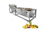 Automatic Vegetable Washer Fruit Washer Machine Vegetable Washing Line