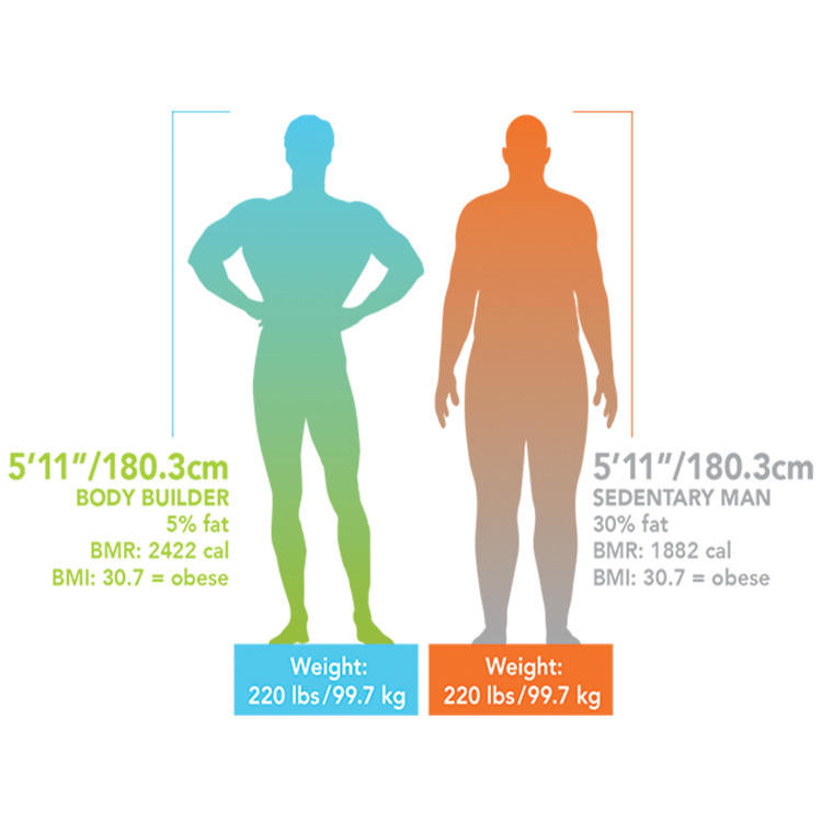 MFBIA Body Composition Analysis Equipment Biochemical Body Mass Analyser