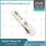 0445110520 Bosch Injector Repair Kit with Nozzle DLLA139P2229 And Valve
