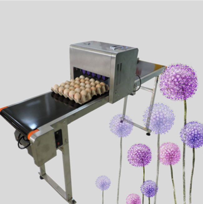 CE SGS Certificated Egg Marking Equipment / Inkjet Coding Machine 1600x410x980 Mm
