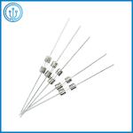 0.25A - 6.3A 250V Time Lag Glass Tube Fuse For Lighting Devices