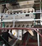 Mineral Color Sorter For Salt Sorting Cleaning Machine Mineral Salt In China /