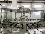 PLC automatic ControlReverse Osmosis Drinking Water Treatment Plant Filling