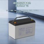 AGM12V100AH Ris Lead Acid Maintenance-Free Battery for Solar Energy Storage and