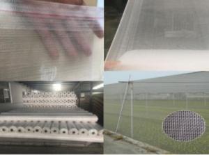 China 115gsm Agriculture Insect Net UV Protection 4m Plastic Insect Net 50x25 Mesh wholesale