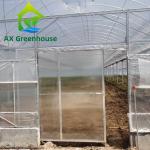 Hot Galvanized Steel PE Film Greenhouse 44m-52m Length Plastic Tomato Greenhouse