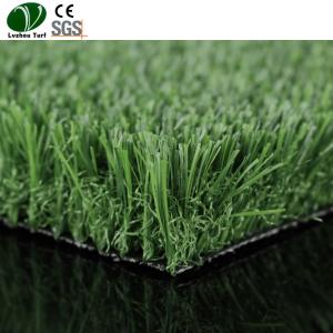 China Easy Drainage Synthetic Lawn Turf Grass Roll Natural Looking 9000Ddtex wholesale