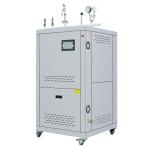 High Pressure LPG Steam Generator 0.7Mpa Gas Fired Steam Boiler
