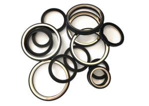 China Packing SS Backside 1&quot; 2&quot; Y Type NBR Plug Valve Seals wholesale