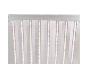 China 2.7umol/J 1836umol/S Horticulture Led Solutions wholesale