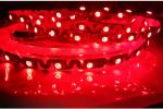Flexible SMD 2835 Bendable Led Strip 5m Cold White / Warm White Multi Color 12V