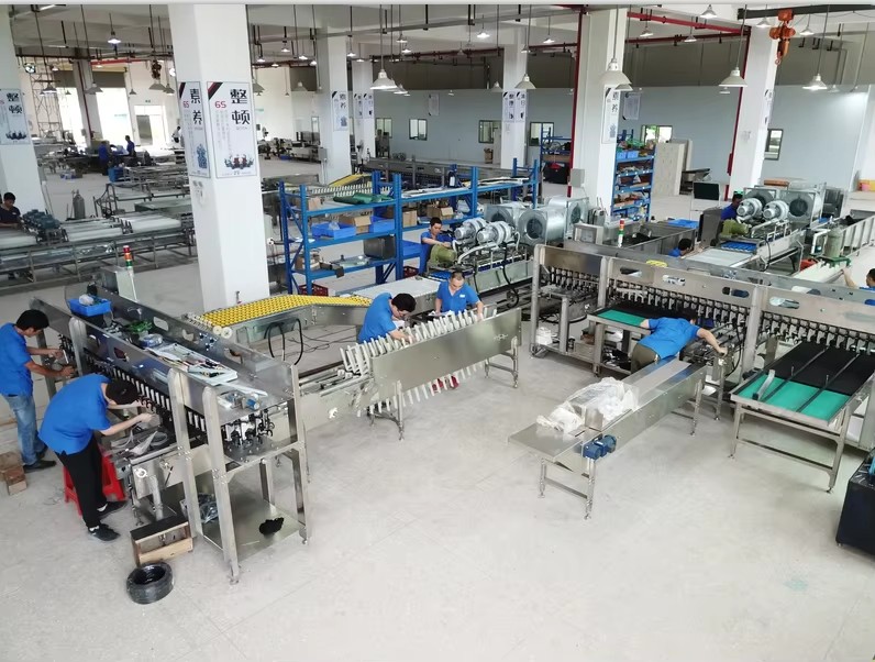 Egg Washing Grading Packing Machine Durable Large-Scale for Farm Processing Equipment