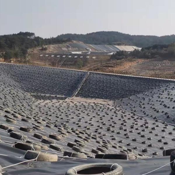 1mm 2mm HDPE Geomembranas for Landfill Dam Construction in Black White Blue or