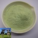 Animal Feed Yeast Powder With Acid-Soluble Protein More Than 60%