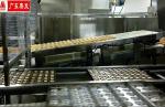 Flip Over Depanner Chicken Floss Cake Automatic Cake Production Line