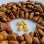 BRC Cetificate Healthy Snack Mix Organic Salty Roasted Pine Nut