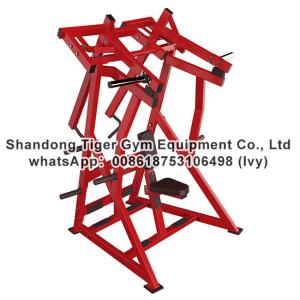China Strength Fitness Equipment / plate loaded gym fitness equipment / Iso lateral D.Y.Row wholesale