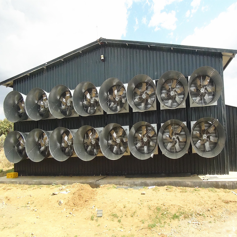 Belt Drive Poultry Exhaust Fan Chicken Coop H Type Automatic Broiler Feeder