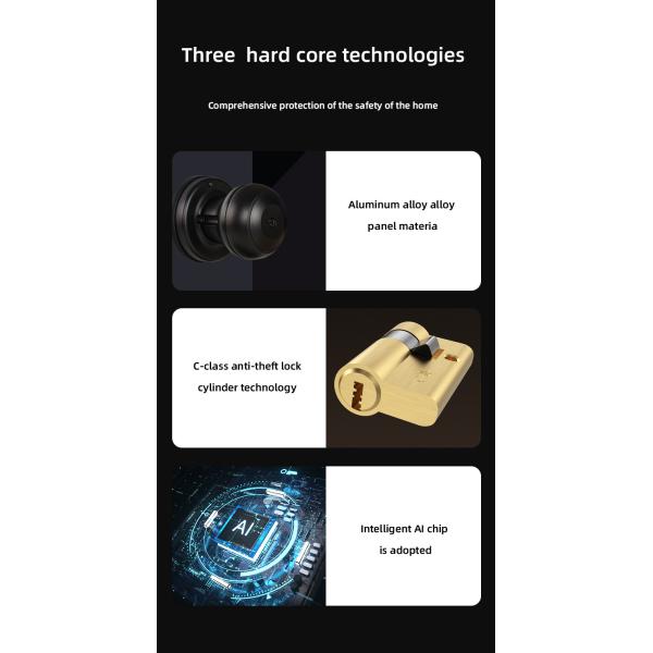 Compatible Door Knob Smart Lock OEM Tuya Electronic Door Locks