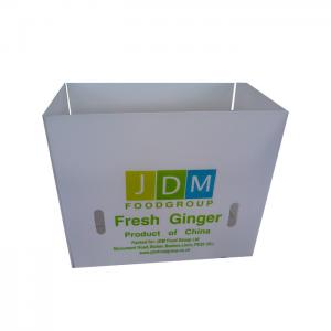 China White 4mm Vegetable Packaging Box Reusable Corrugated Plastic Boxes wholesale