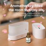 Homefish OEM Humificador Difusor De Aromas 180Ml Diffuser Simulation Flame