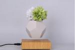 MAGNETIC levitation air bonsai plant pot black pot,floating plant pot