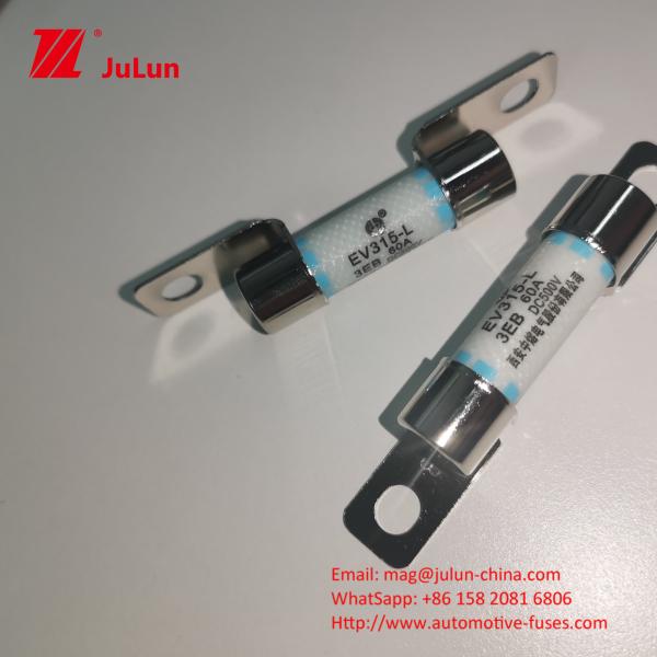 Short Circuit Protection Electric Vehicle Fuse 40A With Breaking Capacity 3KA