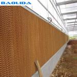 Greenhouse Evaporative Cooling System With Exhaust Fan Plant Growing