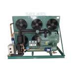 Low Temperature Cold Storage Compressor Cold Room Freezer Refrigeration