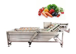 China 500kg/H 3.75KW SUS 304 Apricot Celery Washing Machine wholesale