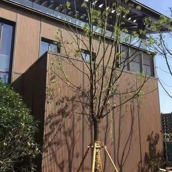 Waterproof Classic Wood Grain WPC Wall Panel
