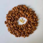 BRC Cetificate Healthy Snack Mix Organic Salty Roasted Pine Nut